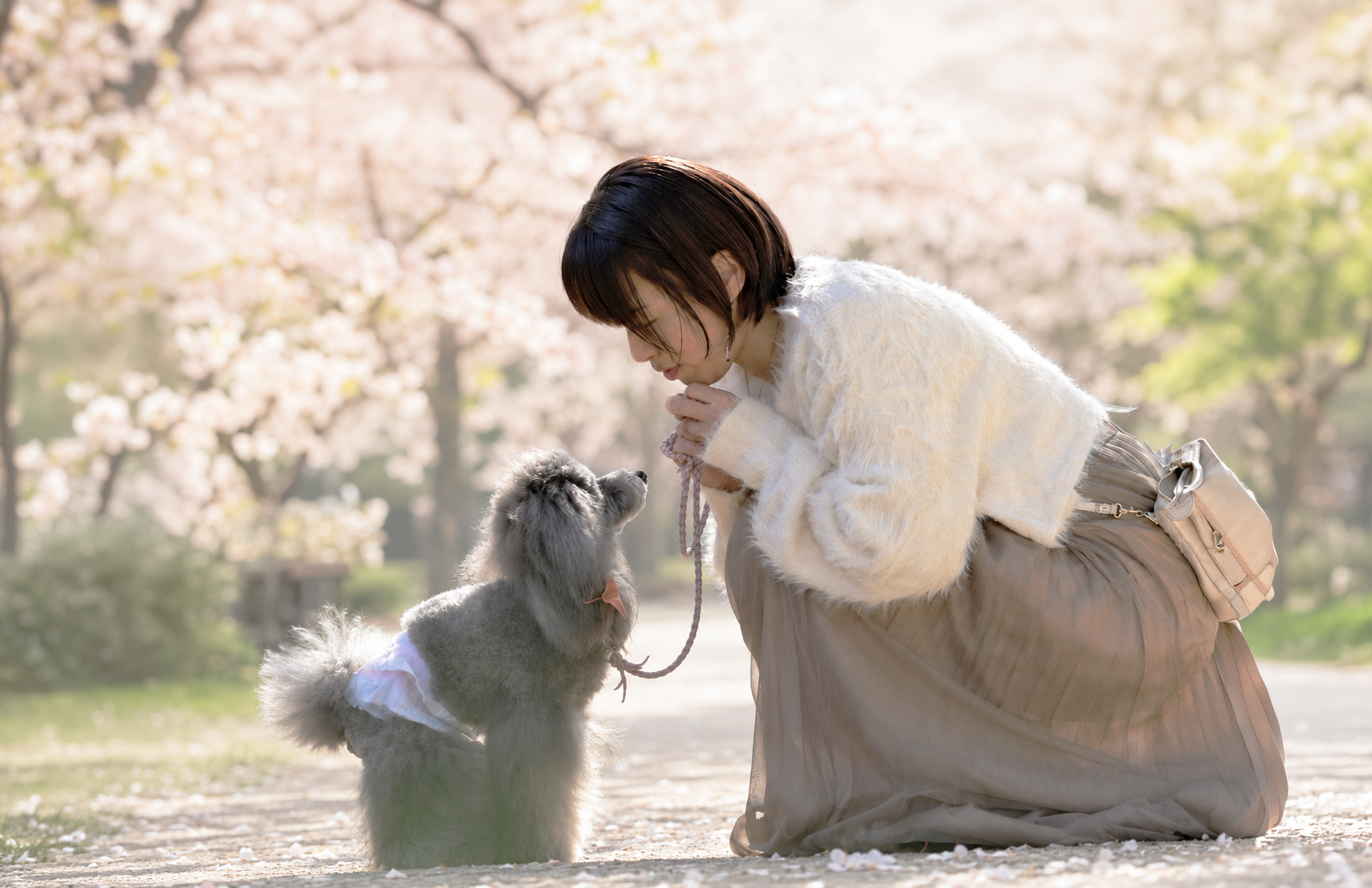 愛犬と向き合う女性