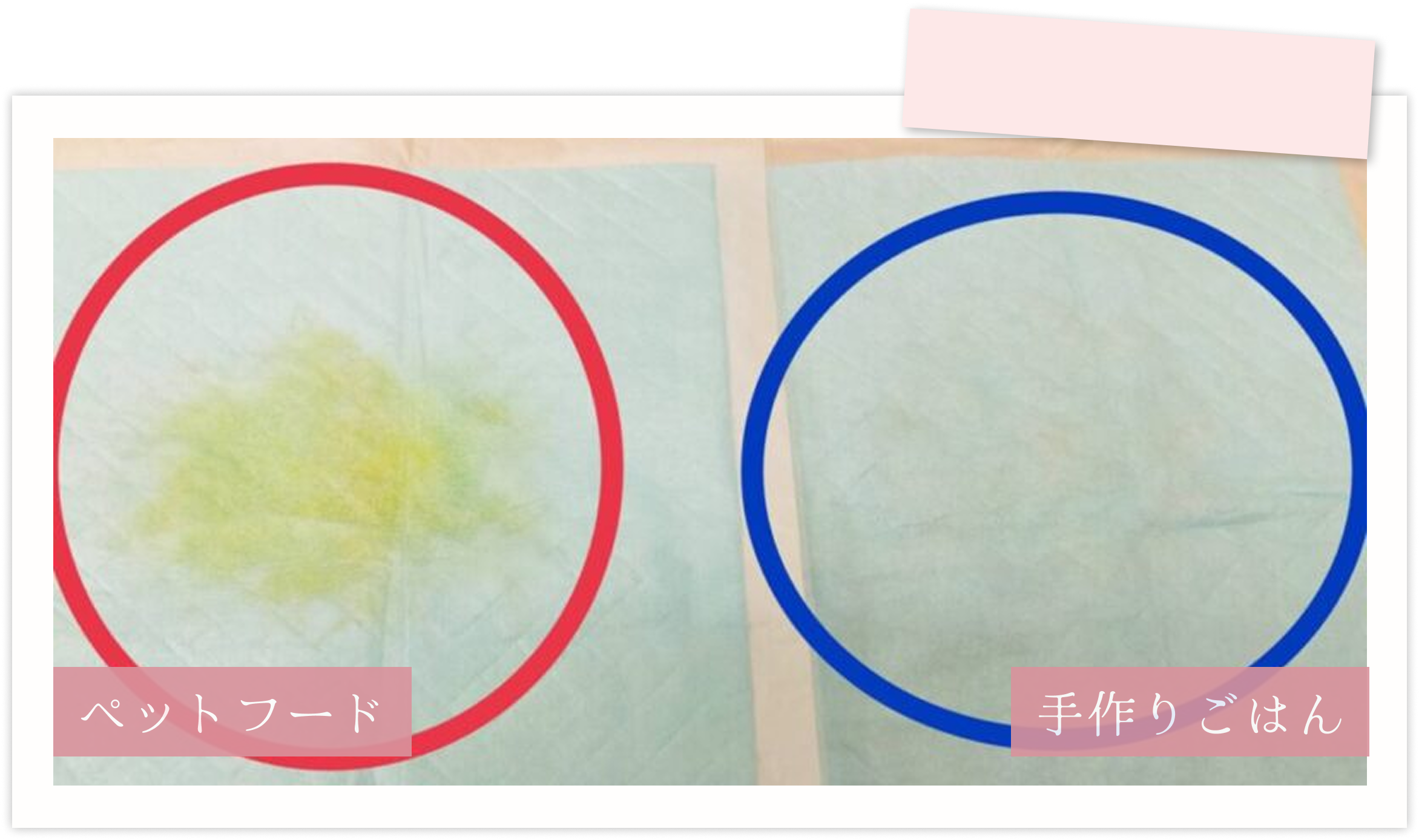 愛犬と飼い主さん